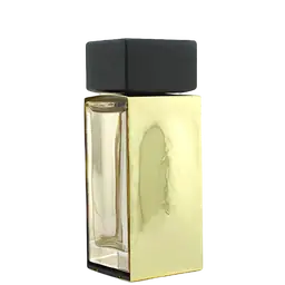 Immagine di Donna Karan Gold