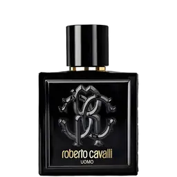Immagine di Roberto Cavalli