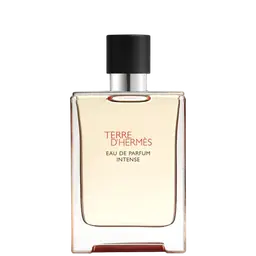 Immagine di Terre d’Hermès Intense