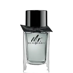 Immagine di Mr. Burberry Eau de Toilette