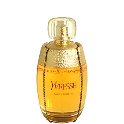 Immagine di Yvresse (Champagne) di Yves Saint Laurent