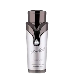 Immagine di Magnificent Pour Homme di Armaf