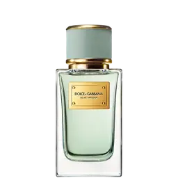 Immagine di Velvet Infusion di Dolce&Gabbana Eau de Parfum
