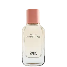 Immagine di Fields at Nightfall 2020 di Zara