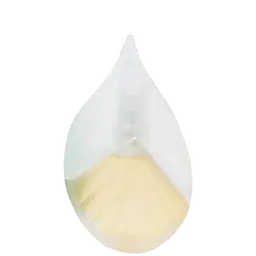Immagine di Parfum d'Ete 1992 di Kenzo