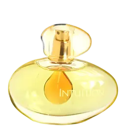 Immagine di Intuition di Estée Lauder