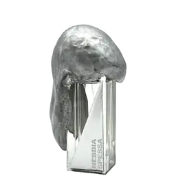 Immagine di Nebbia Spessa Extrait de Parfum di Filippo Sorcinelli