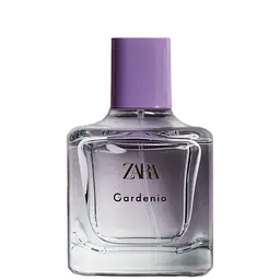 Immagine di Gardenia di Zara